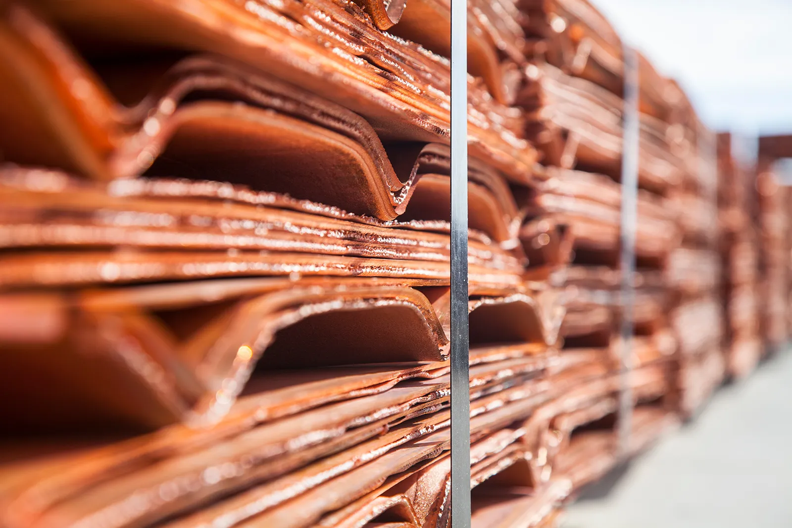 Proyectos de Impacto